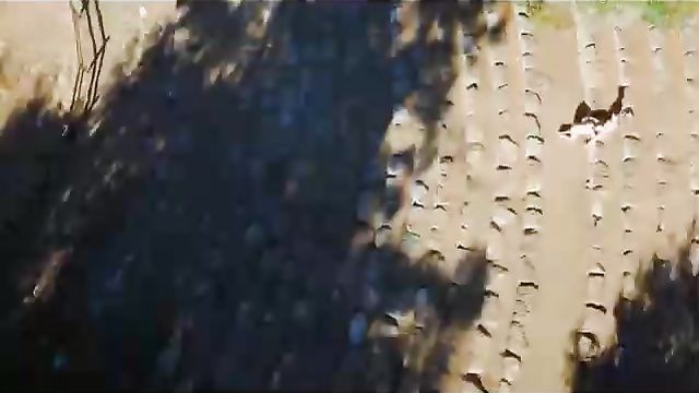 С помощью беспилотника сняли порнофильм Drone Boning