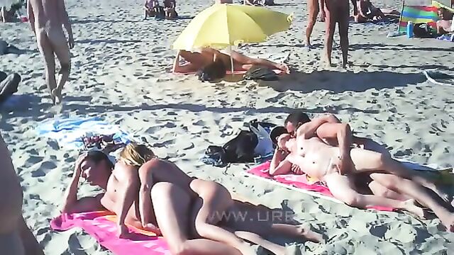 Групповые порно оргии нудистов на пляже: Секс в дюнах 7