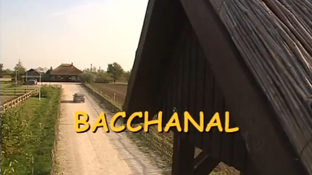 Вакханалия | Private X-treme Bacchanal (2002) онлайн с русским переводом!